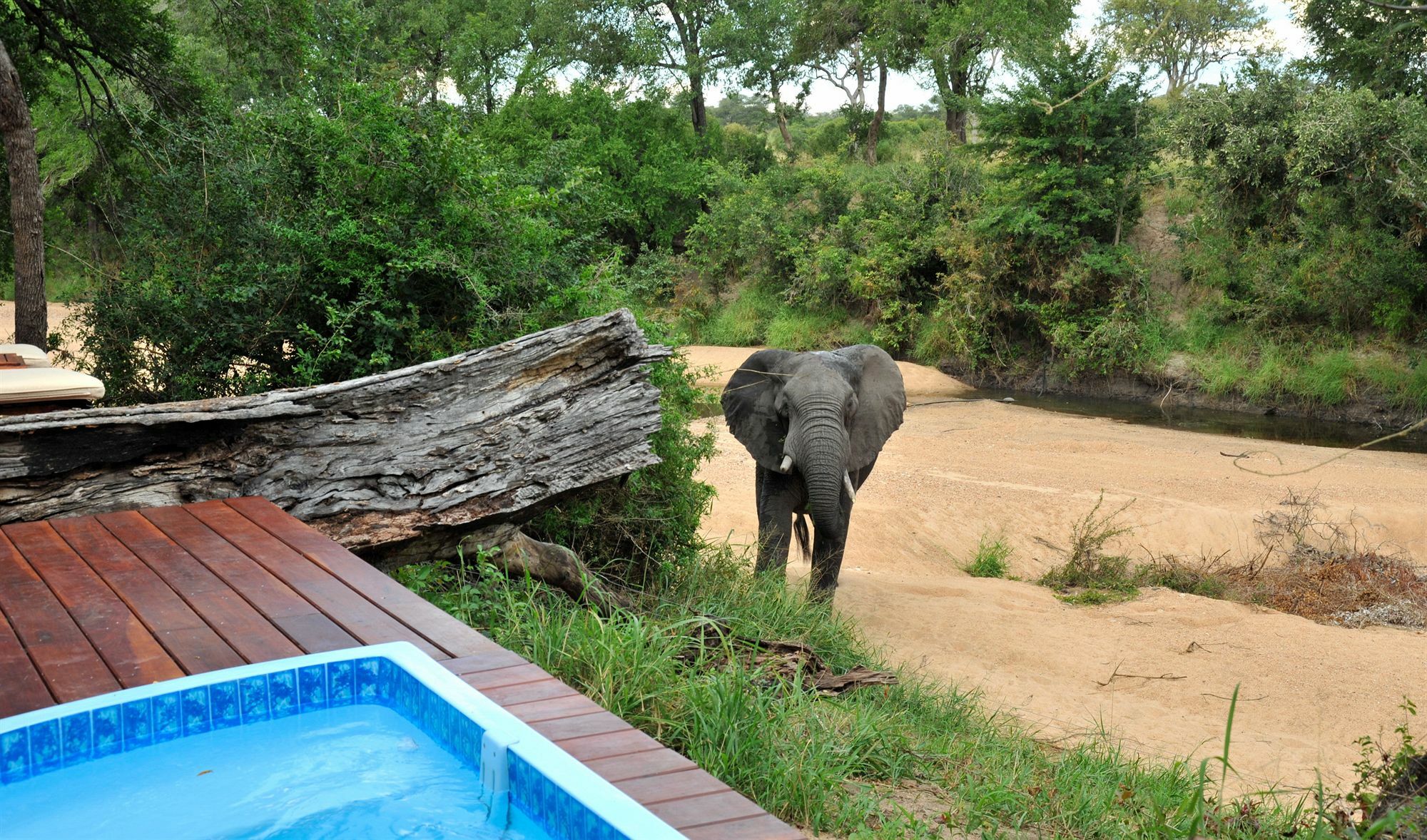 Imbali Safari Lodge Mluwati Concession Exterior photo