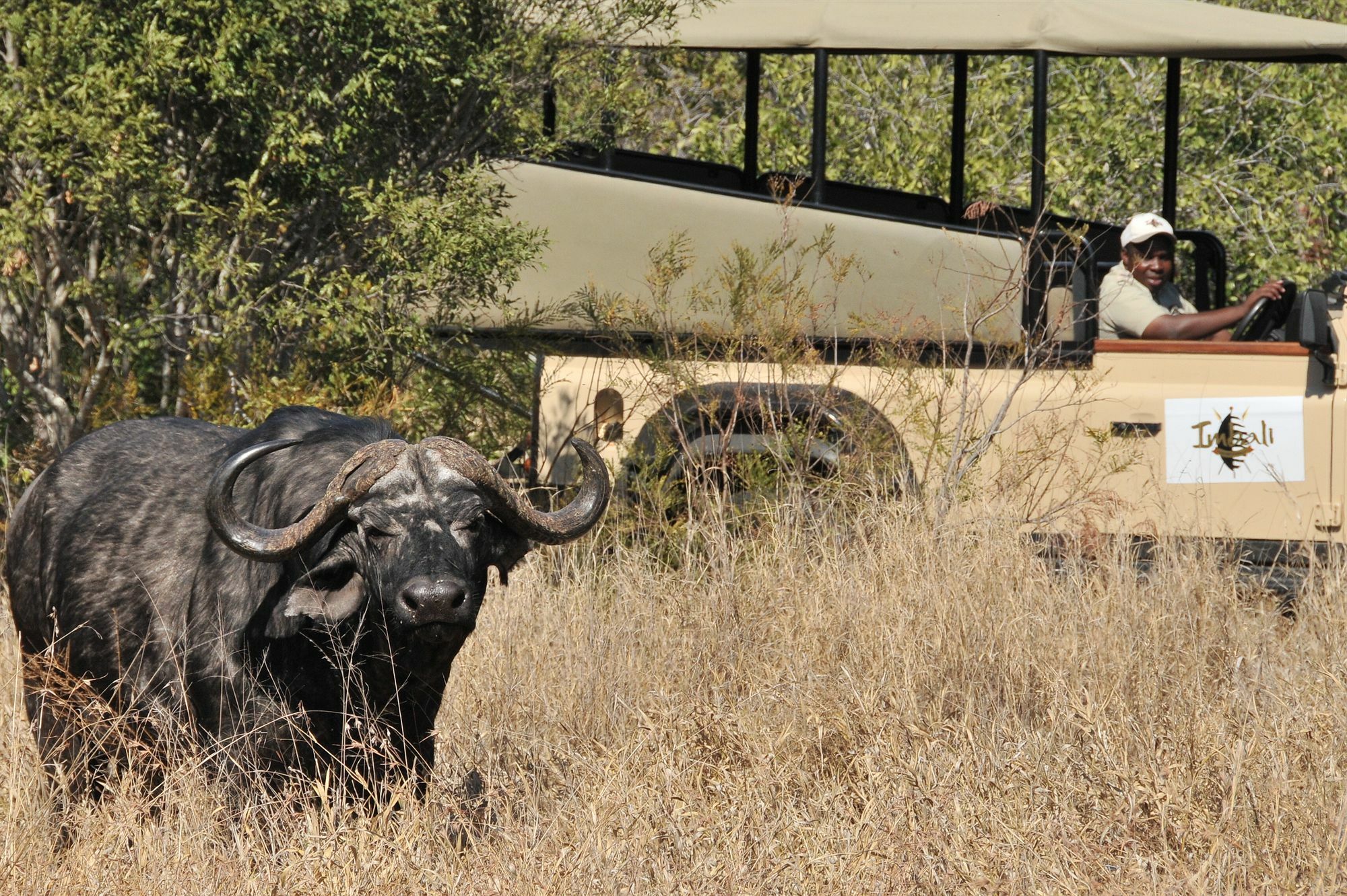Imbali Safari Lodge Mluwati Concession Exterior photo